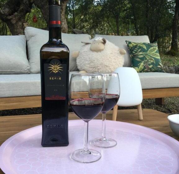 ビラホテル1ベッドルーム, Villa Bleucassis