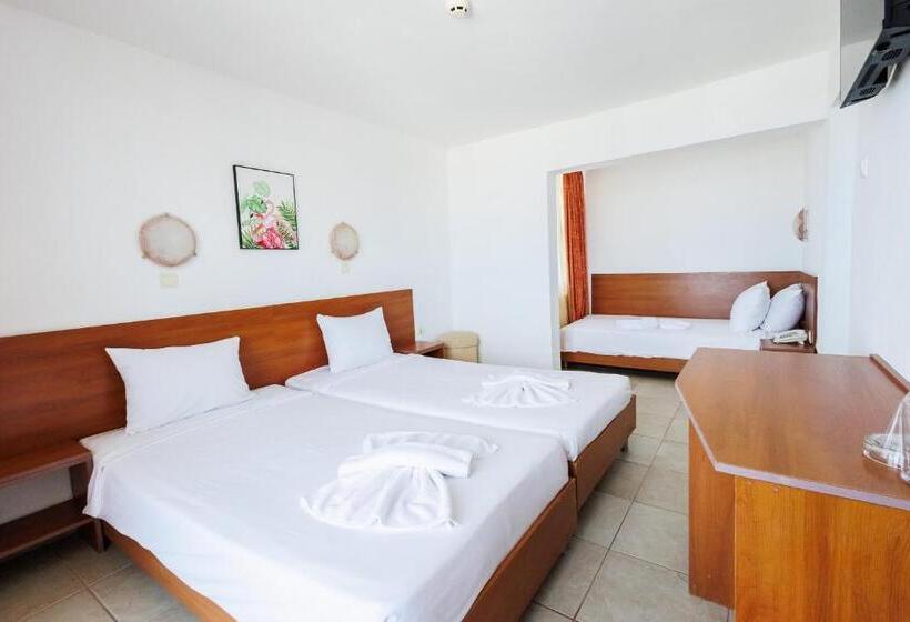 エコノミートリプルルーム, Arsenal