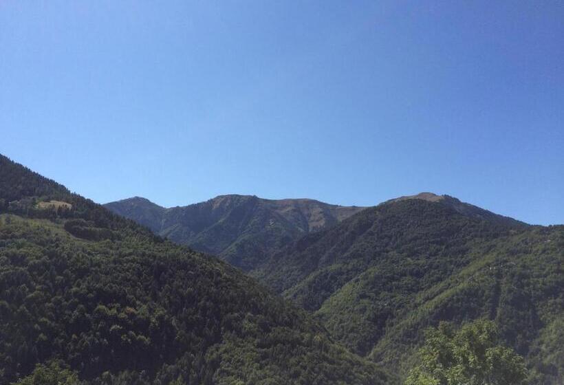 スタンダードルーム, La Buneta