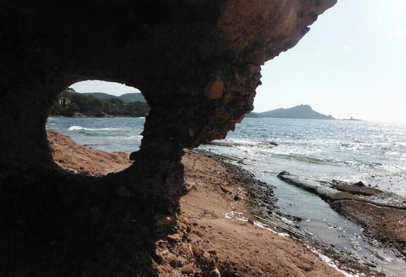 Apartament cu 1 dormitor parter, Résidence L éléphant