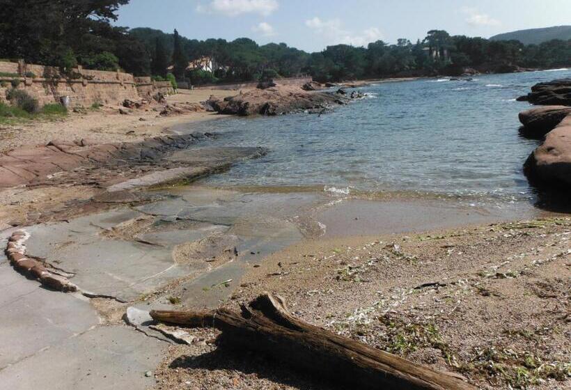 Apartament cu 1 dormitor parter, Résidence L éléphant