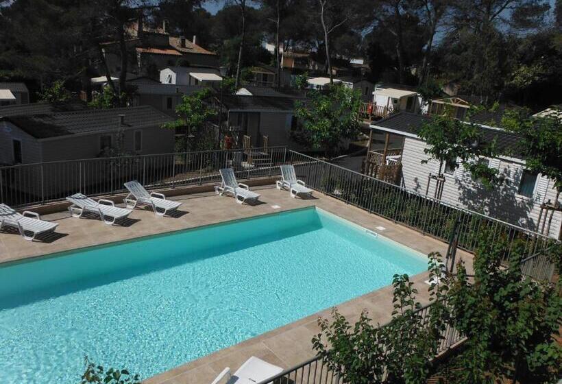 Apartament 1 Dormitor cu Priveliște către Piscină, Résidence L éléphant