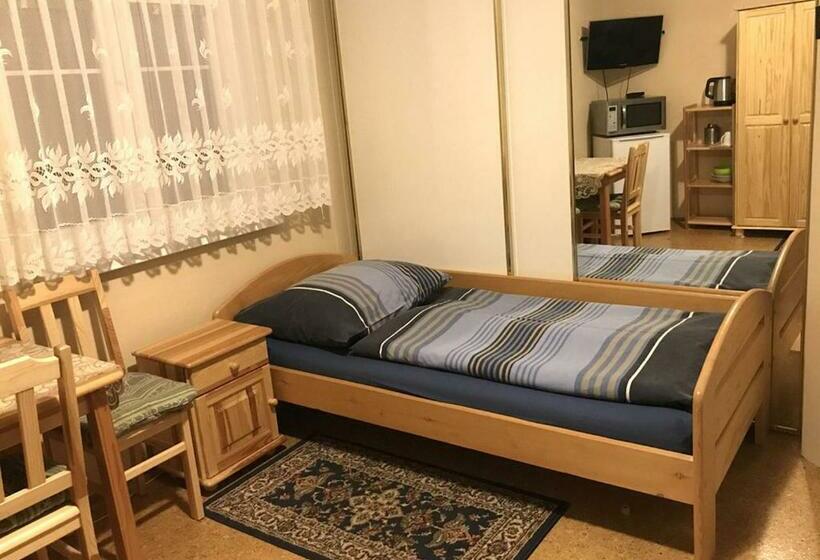 带共用浴室的标准房间, Modrý Pension