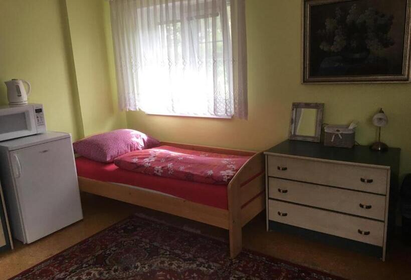 标准三人间共用浴室, Modrý Pension