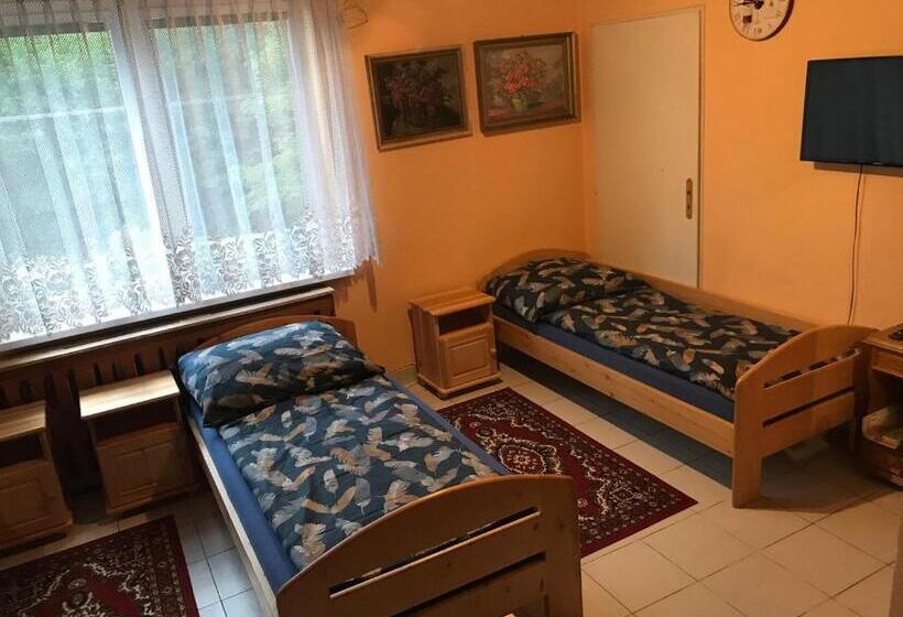 标准四人间共用浴室, Modrý Pension