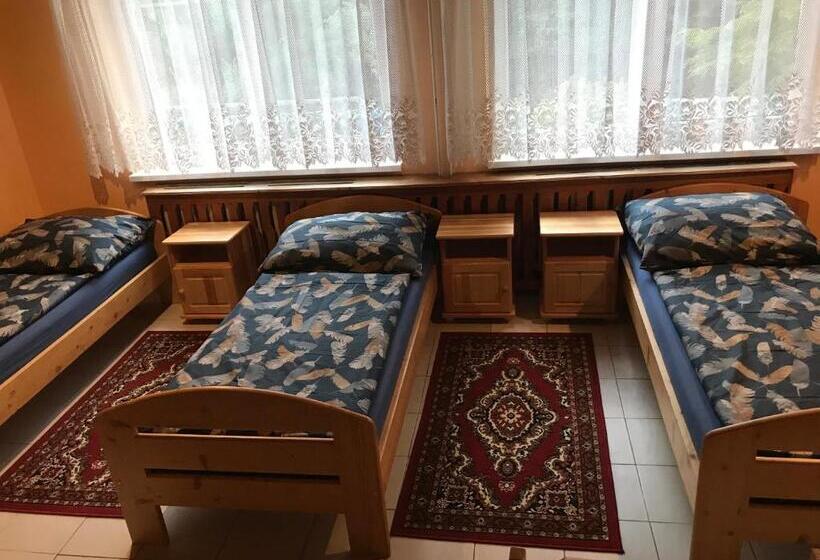 标准四人间共用浴室, Modrý Pension