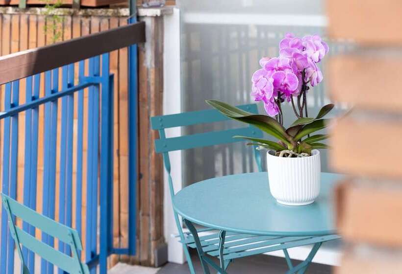 スタンダードルーム, Zaccardi Roof Garden