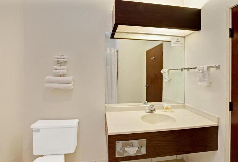 스탠다드 룸 킹사이즈 침대, Halsted Inn And Suites Harvey   Chicago Southland