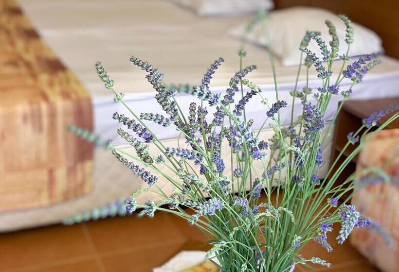 スタンダードルーム, Plamena Palace