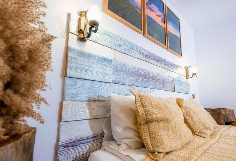 Номер Стандарт, Vila Stefana Paltinis