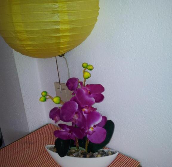 חדר סטנדרט, El Tio Mateo