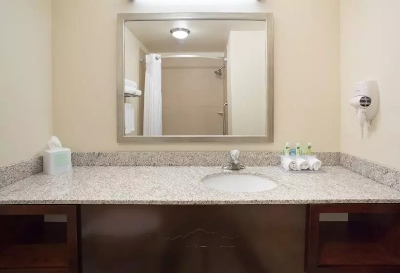 スタンダードルーム, Holiday Inn Express & Suites Glendive, An Ihg