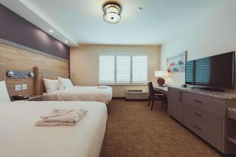 スタンダードルーム, Holiday Inn Express & Suites Murphy, An Ihg