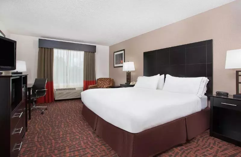 キングサイズベッドのスタンダードルーム, Holiday Inn Express & Suites Murphy, An Ihg
