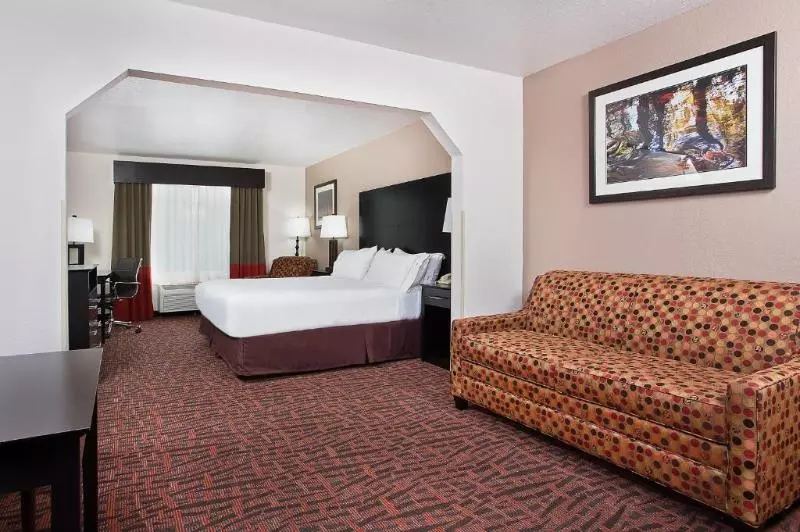キングサイズベッドのスイートルーム, Holiday Inn Express & Suites Murphy, An Ihg