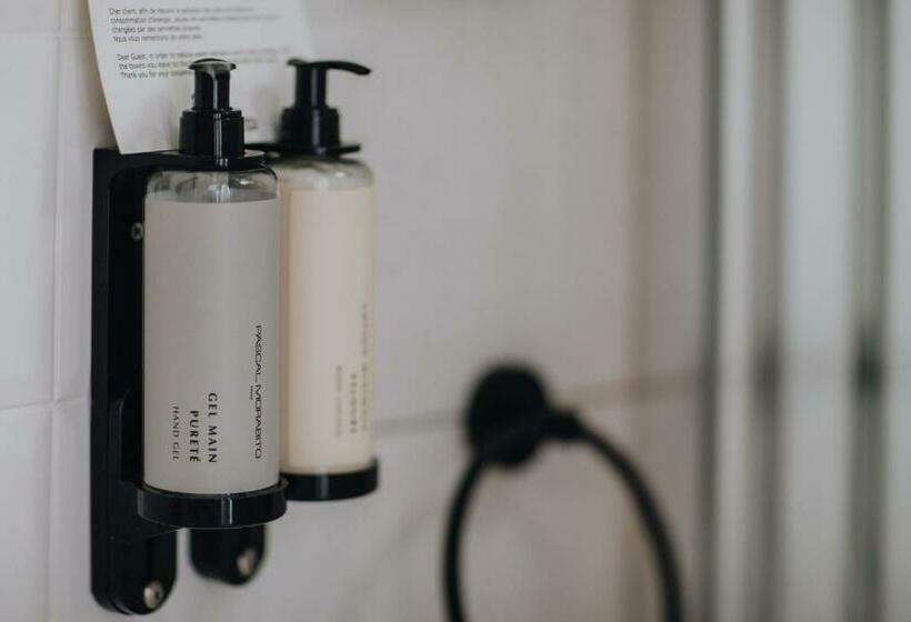 スタンダードルーム, Hôtel Prince Albert Gare De Lyon Ex Concordia