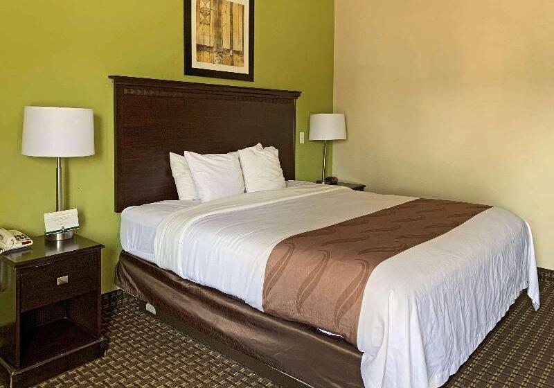 غرفة قياسية سرير كينج, Quality Inn & Suites Quantico