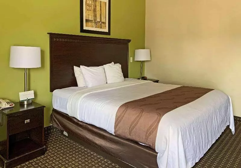 キングサイズベッドのスタンダードルーム, Quality Inn & Suites Quantico
