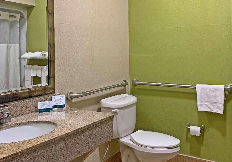 غرفة قياسية سرير كينج, Quality Inn & Suites Quantico