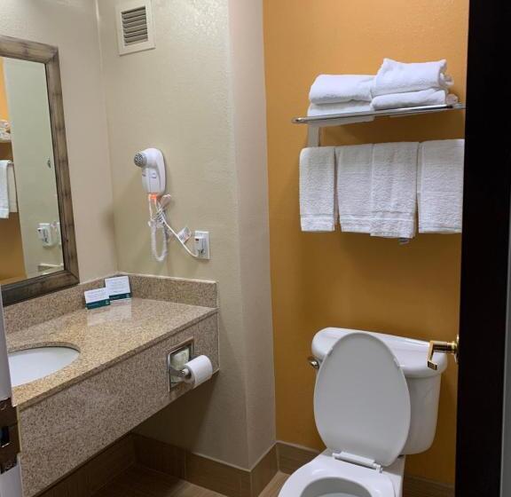 غرفة قياسية سرير كينج, Quality Inn & Suites Quantico