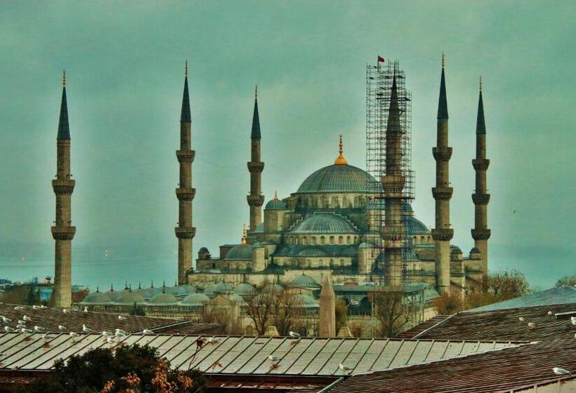 اتاق استاندارد, Sultanahmet Park