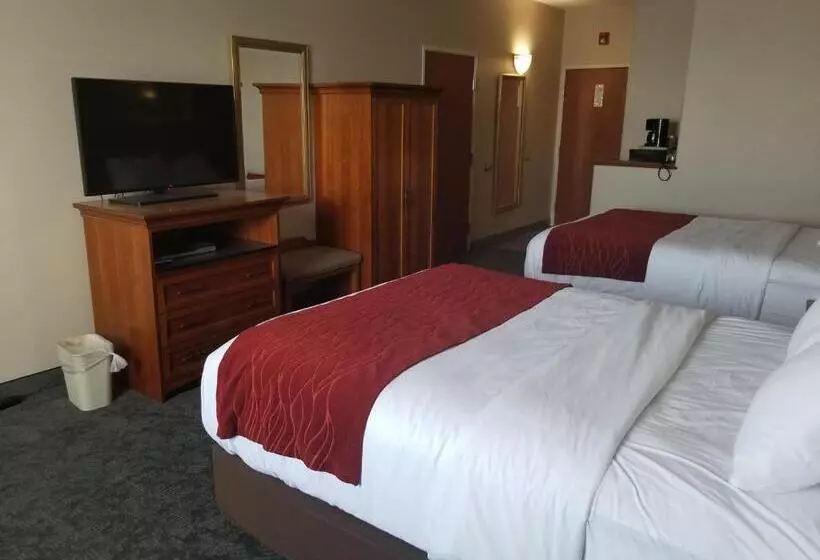 ２ダブルベッドのスタンダードルーム, Comfort Inn & Suites I 25 Near Spaceport America