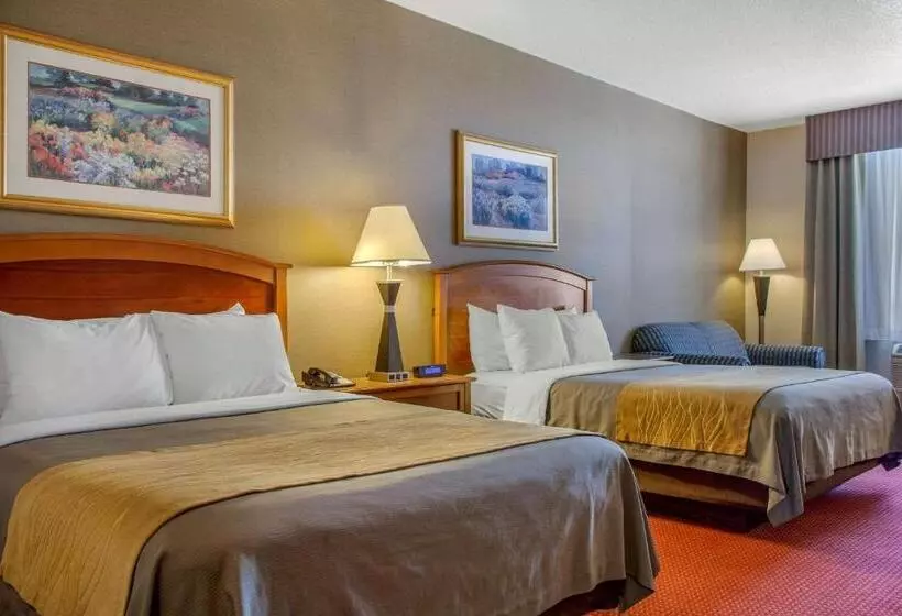 スイート, Comfort Inn & Suites I 25 Near Spaceport America