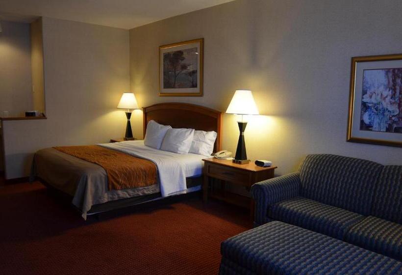 اتاق استاندارد با تخت بزرگ برای معلولان, Comfort Inn & Suites I 25 Near Spaceport America