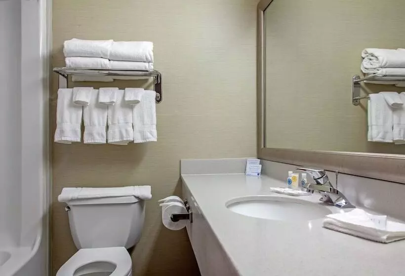 ２ダブルベッドのスタンダードルーム, Comfort Inn & Suites I 25 Near Spaceport America