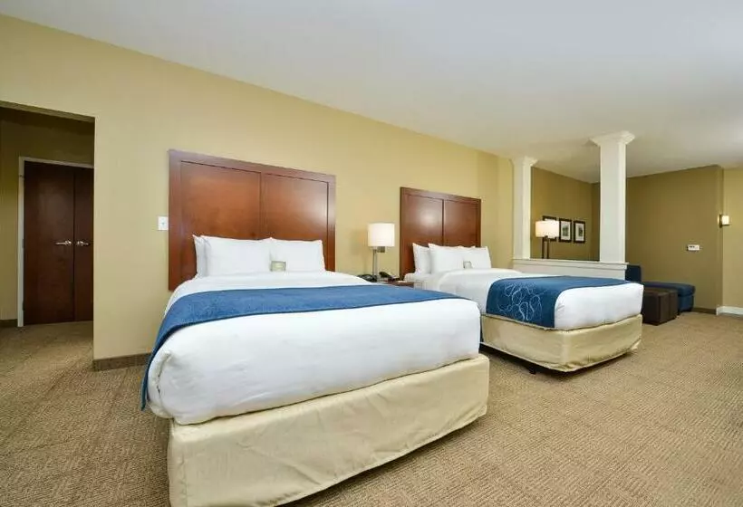 スイート, Comfort Suites Airportuniversity
