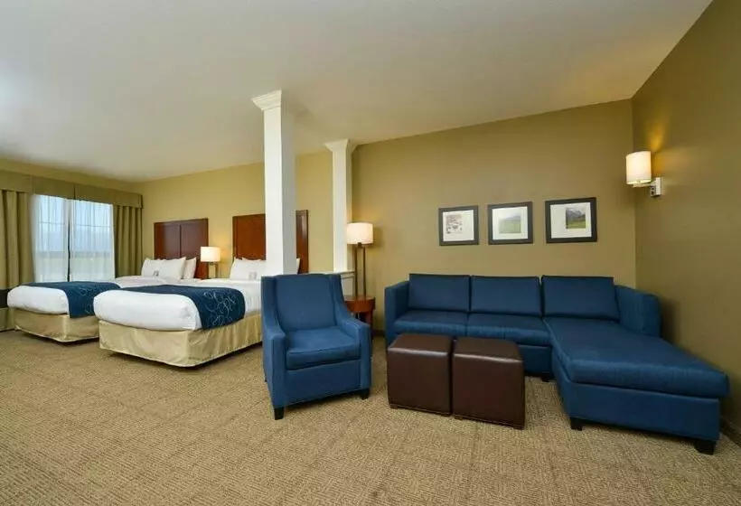 スイート, Comfort Suites Airportuniversity