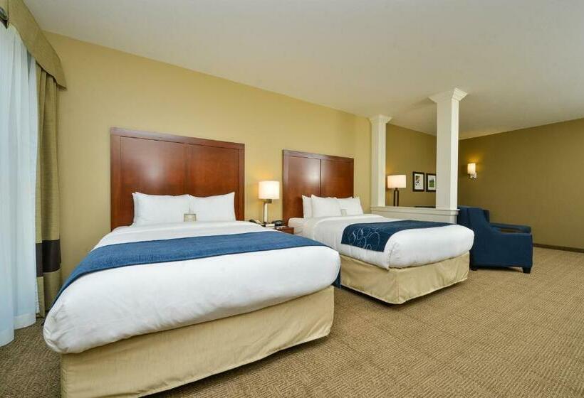 Люкс, Comfort Suites Airportuniversity