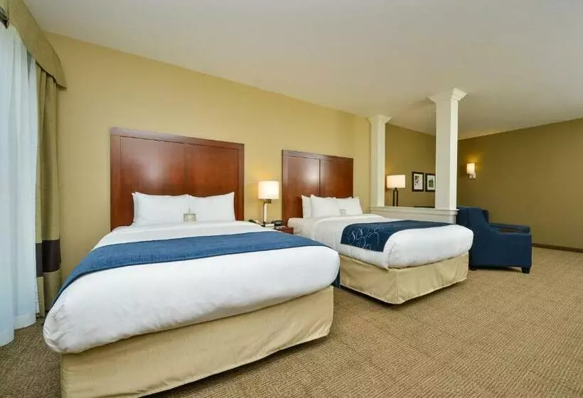 スイート, Comfort Suites Airportuniversity
