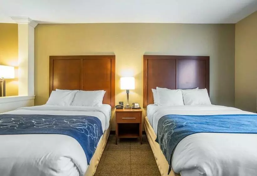 スイート, Comfort Suites Airportuniversity