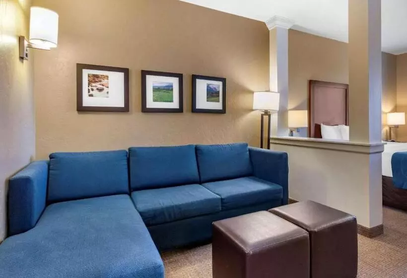キングサイズベッドのスイートルーム, Comfort Suites Airportuniversity