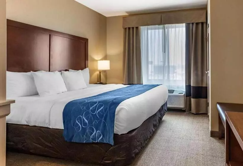 キングサイズベッドのスイートルーム, Comfort Suites Airportuniversity
