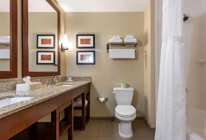 Люкс Адаптированный для Инвалидов, Comfort Suites Airportuniversity