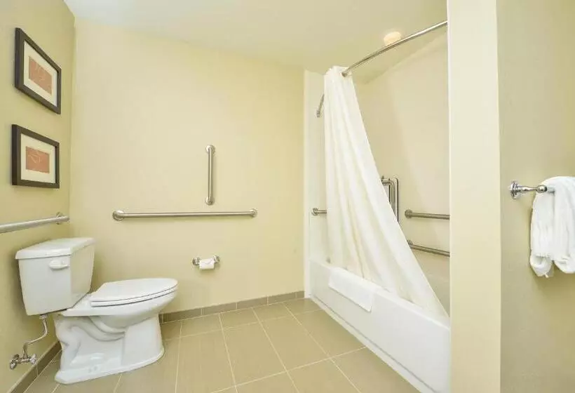 身障者適用スイートルーム, Comfort Suites Airportuniversity