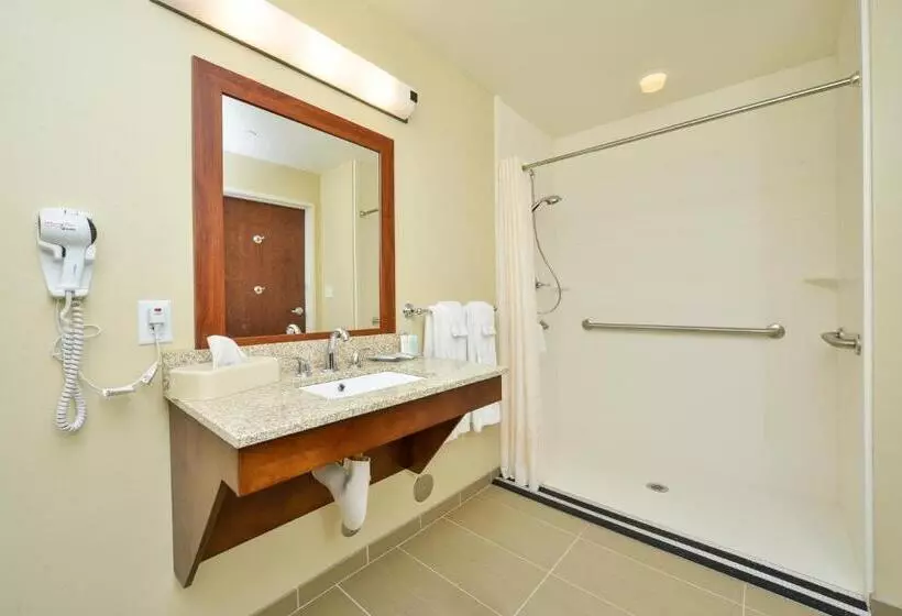 身障者適用スイートルーム, Comfort Suites Airportuniversity