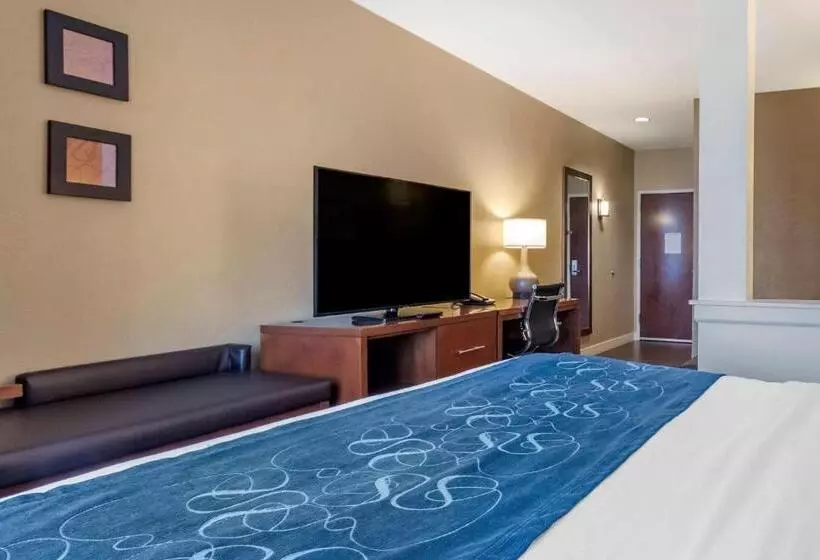 身障者適用スイートルーム, Comfort Suites Airportuniversity