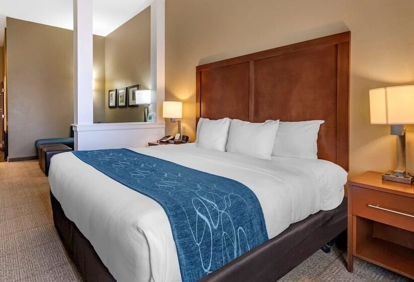 Люкс Адаптированный для Инвалидов, Comfort Suites Airportuniversity