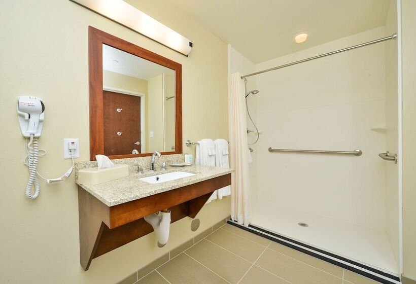 Люкс Адаптированный для Инвалидов, Comfort Suites Airportuniversity