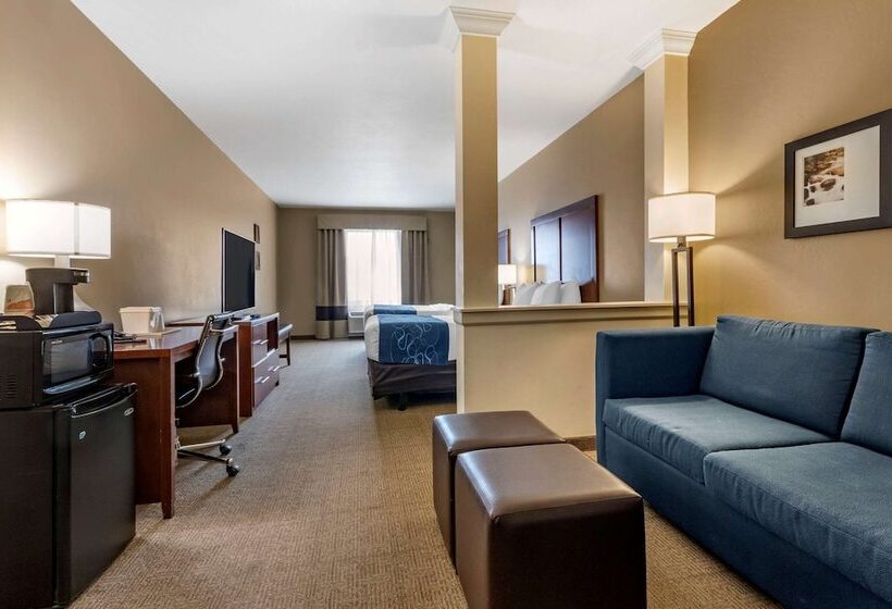 Люкс Адаптированный для Инвалидов, Comfort Suites Airportuniversity