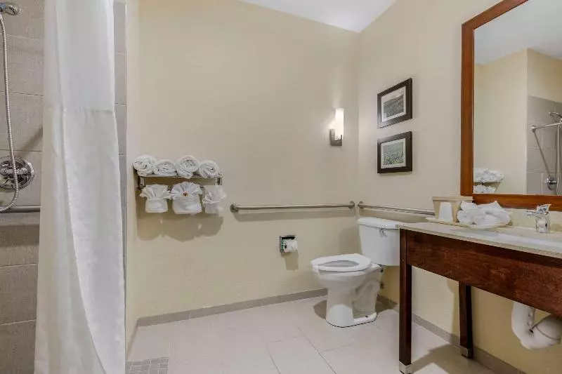 キングサイズベッドのスイートルーム, Comfort Suites