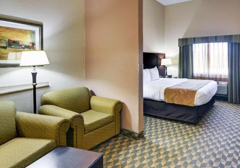 キングサイズベッドのスイートルーム, Comfort Suites