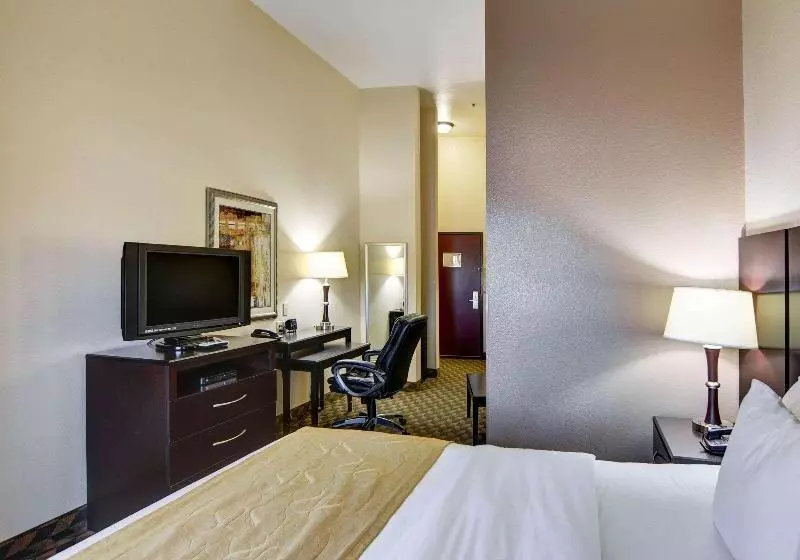 キングサイズベッドのスイートルーム, Comfort Suites