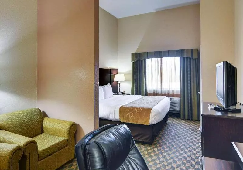 キングサイズベッドのスイートルーム, Comfort Suites