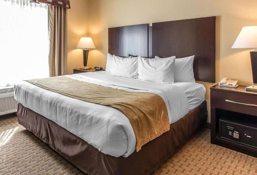 جناح لذوى الاحتياجات الخاصة, Comfort Suites Lawton Near Fort Sill