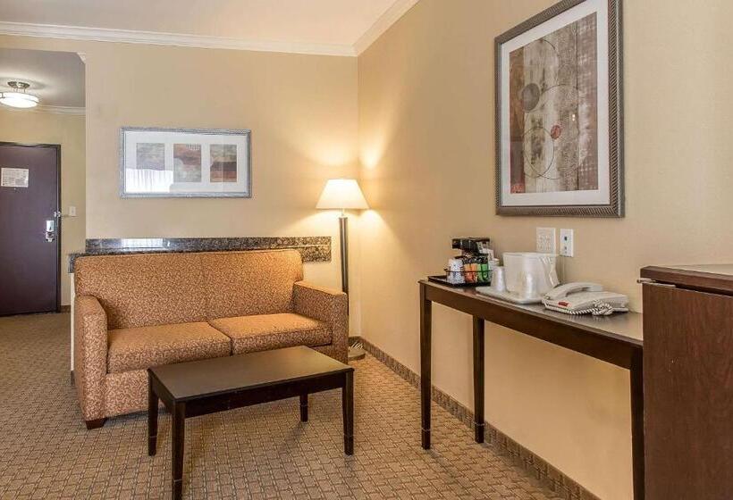 جناح لذوى الاحتياجات الخاصة, Comfort Suites Lawton Near Fort Sill