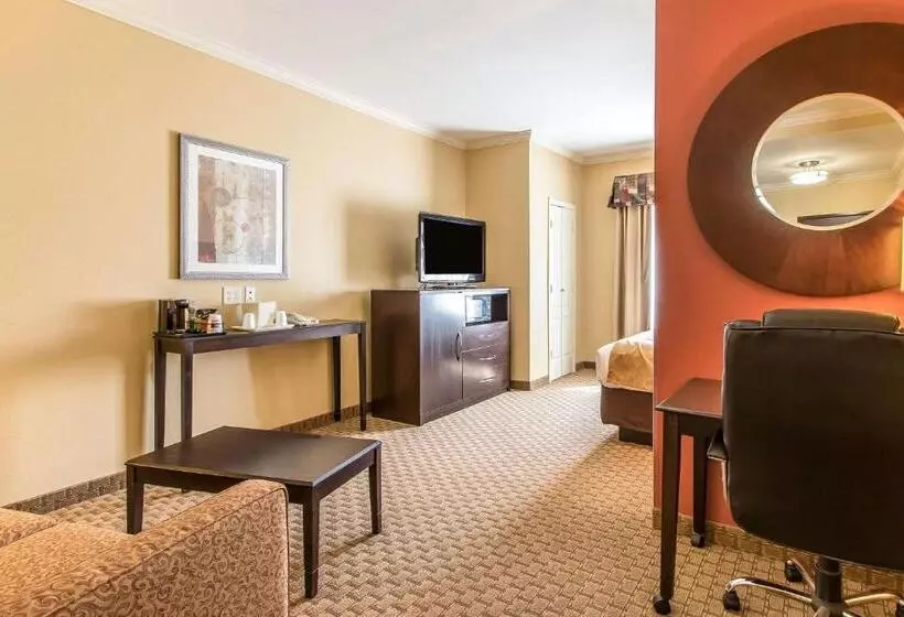 身障者適用スイートルーム, Comfort Suites Lawton Near Fort Sill